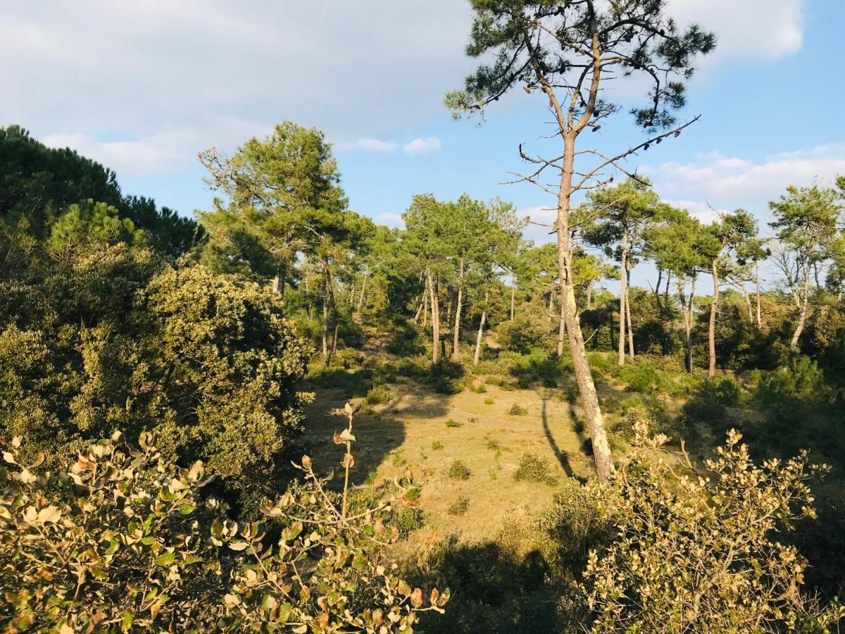 180° Vue Ocean, T3 Marin Haut De Gamme Saint-Jean-de-Monts Bagian luar foto